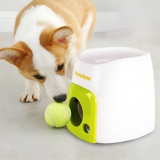 Maquina de recompensa para perros